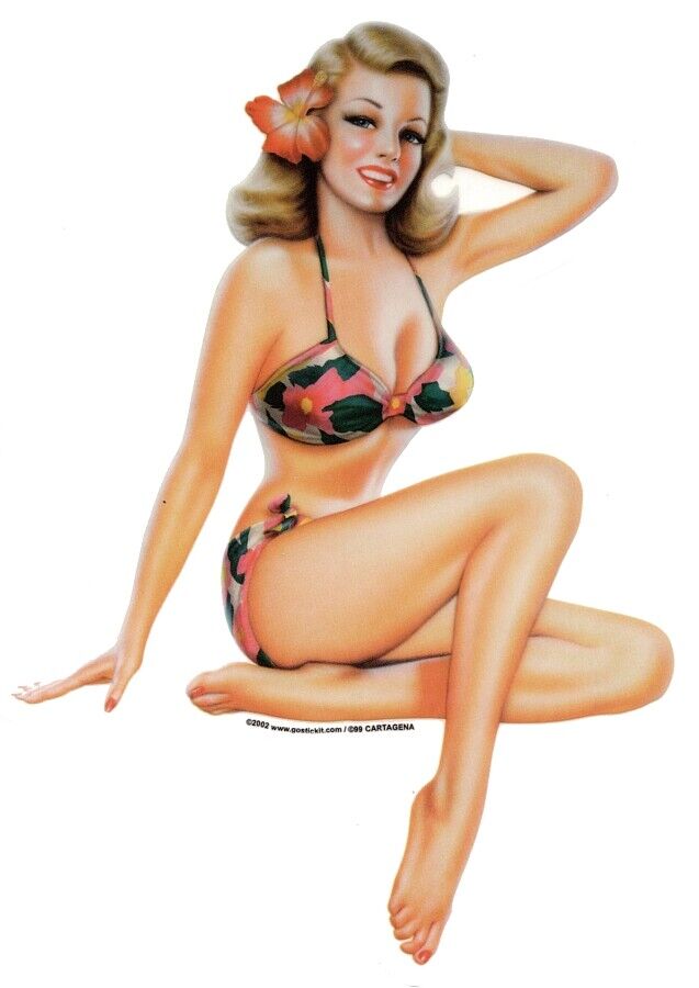 valutabile economico segnato vintage bikini up